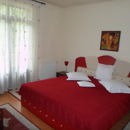 Pensiunea Speranta Hotel Sovata Exterior foto