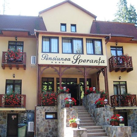 Pensiunea Speranta Hotel Sovata Exterior foto