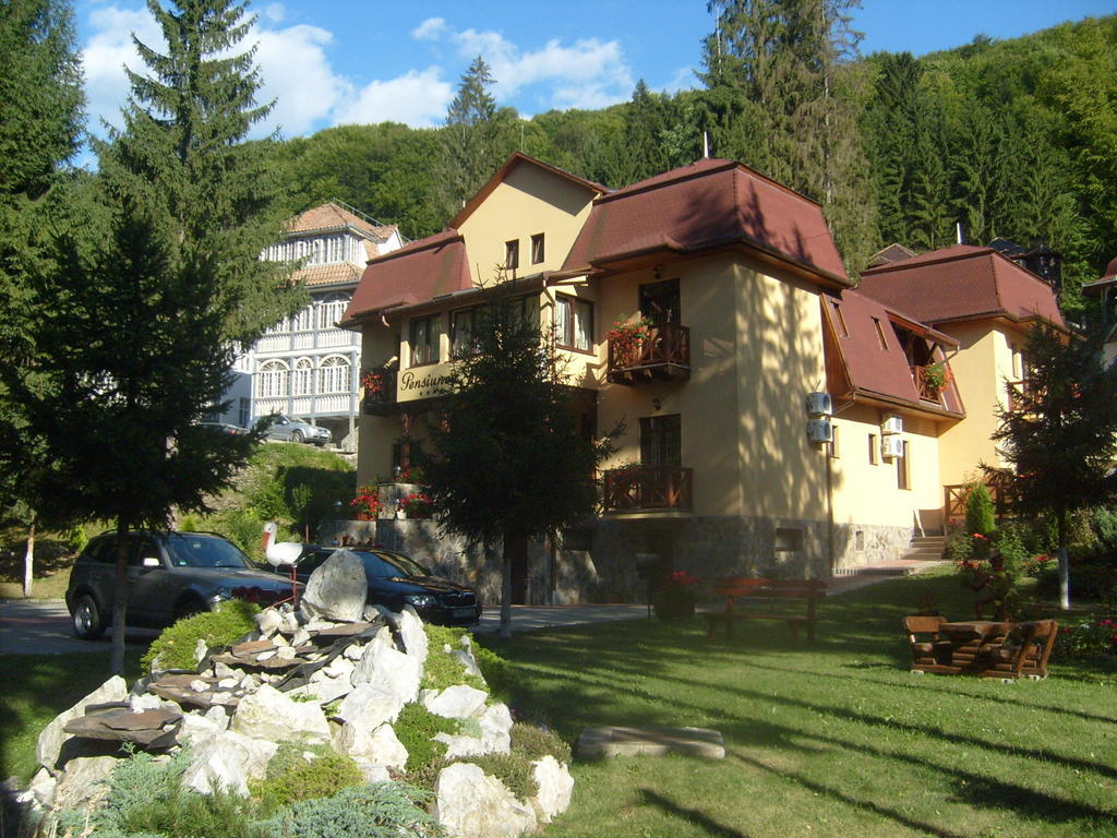 Pensiunea Speranta Hotel Sovata Exterior foto