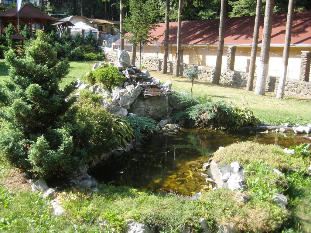 Pensiunea Speranta Hotel Sovata Exterior foto